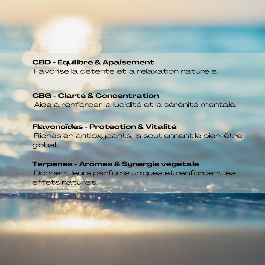 🌿Huile Sublinguale CBD 10% bio – Full Spectrum 10ml