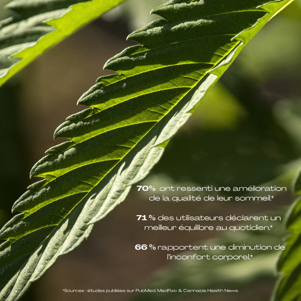 🌿Huile Sublinguale CBD 10% bio – Full Spectrum 10ml